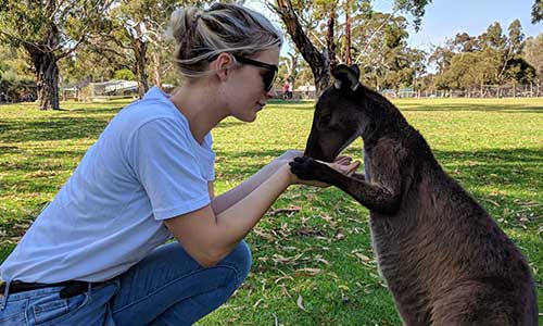 Top 5 Wildlife Parks in South Australia | 5 South