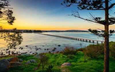 Best Wildlife Activities in Victor Harbor