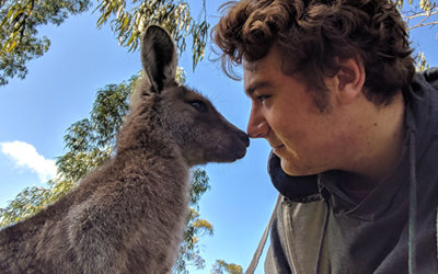 How to take a Kangaroo Selfie