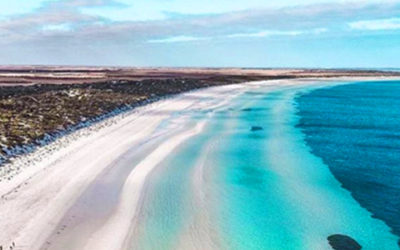 Top 5 best fishing spots in South Australia