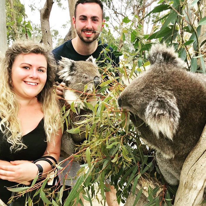 Koala Experience - Urimbirra Wildlife Park