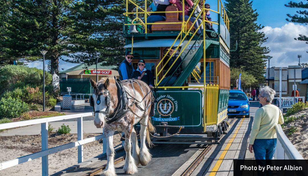 Victor Harbor, South Australia Urimbirra Wildlife Park